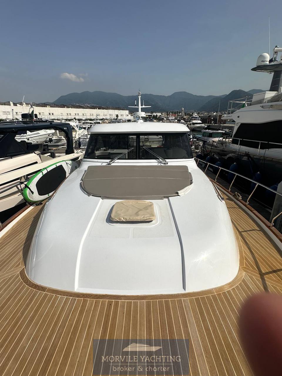 Mochi craft Dolphin 51