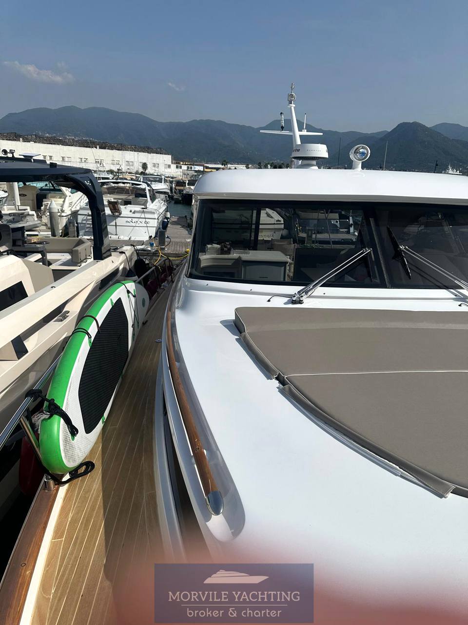 Mochi craft Dolphin 51