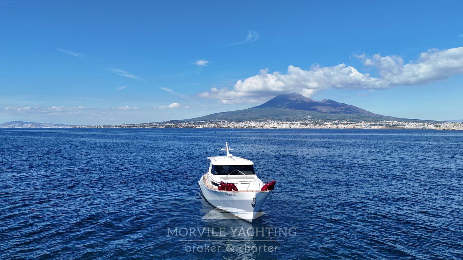 Mochi craft Dolphin 51