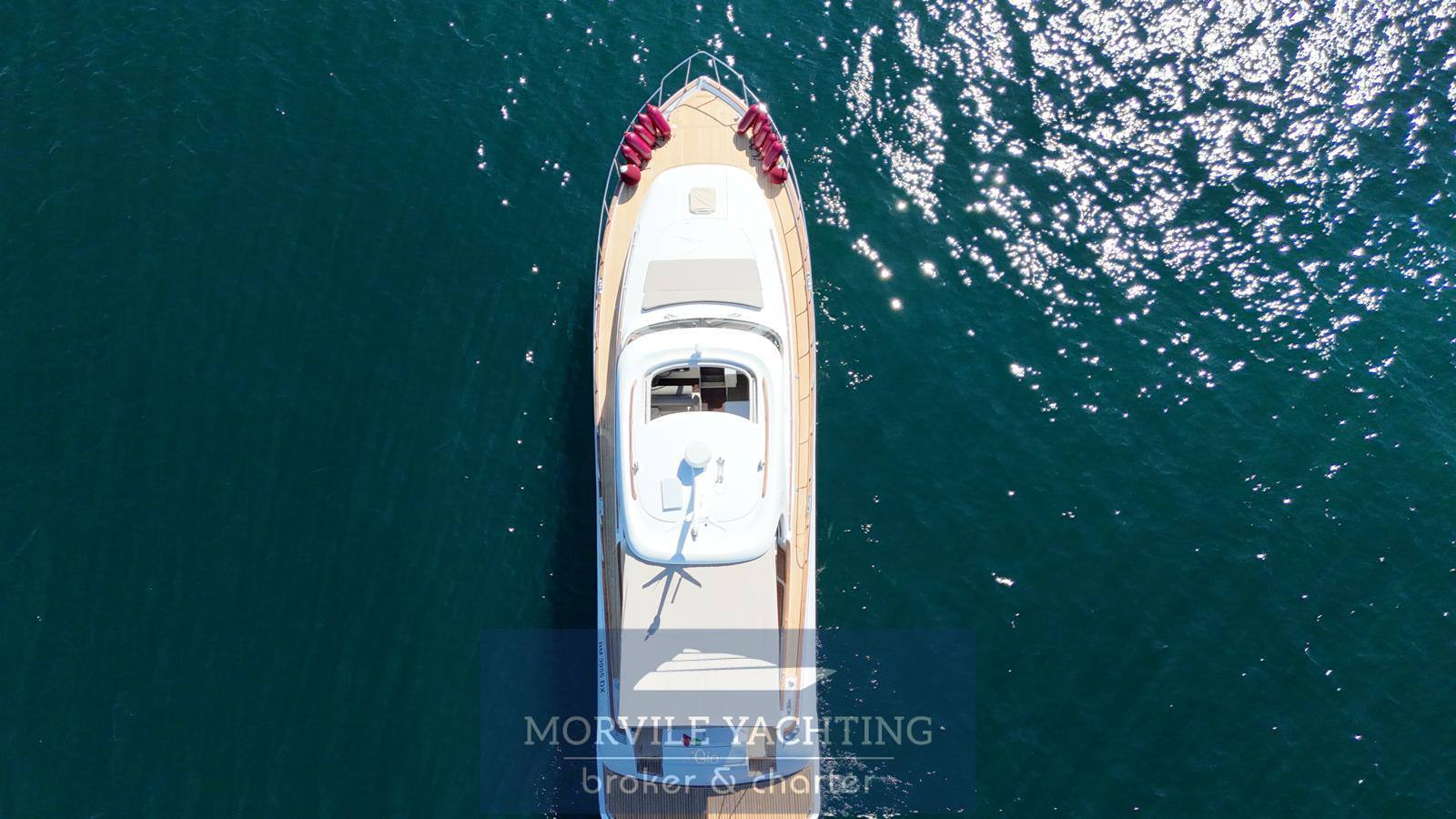 Mochi craft Dolphin 51