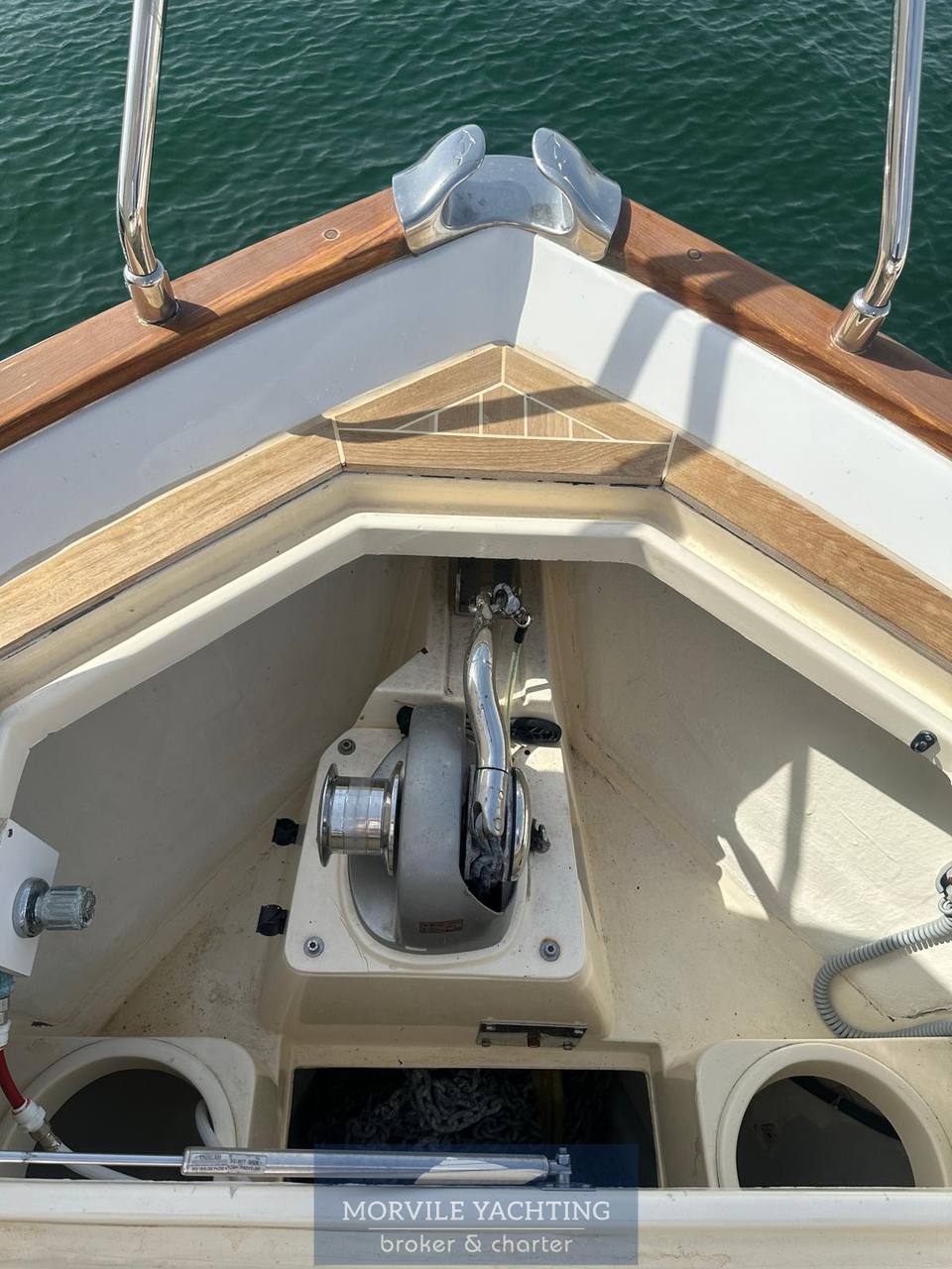 Mochi craft Dolphin 51