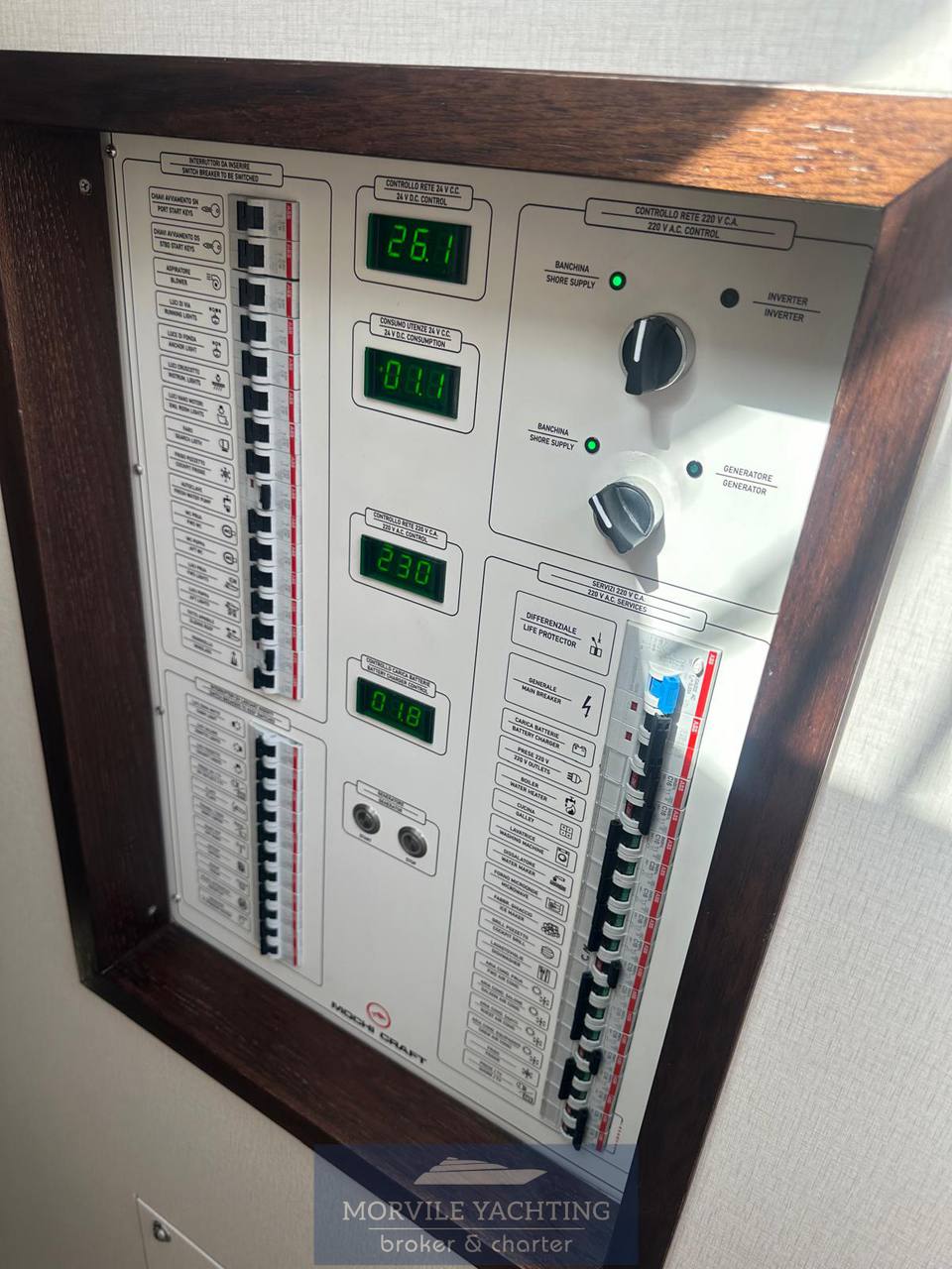 Mochi craft Dolphin 51