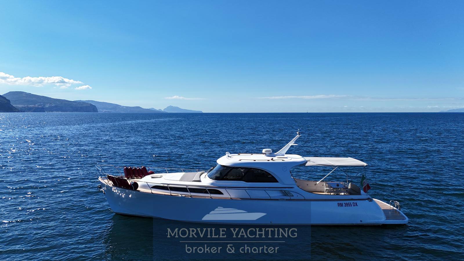 Mochi craft Dolphin 51