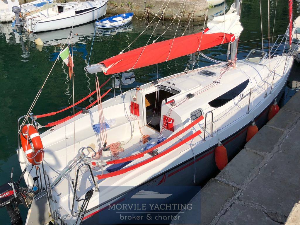 Nauti poland Focus 850