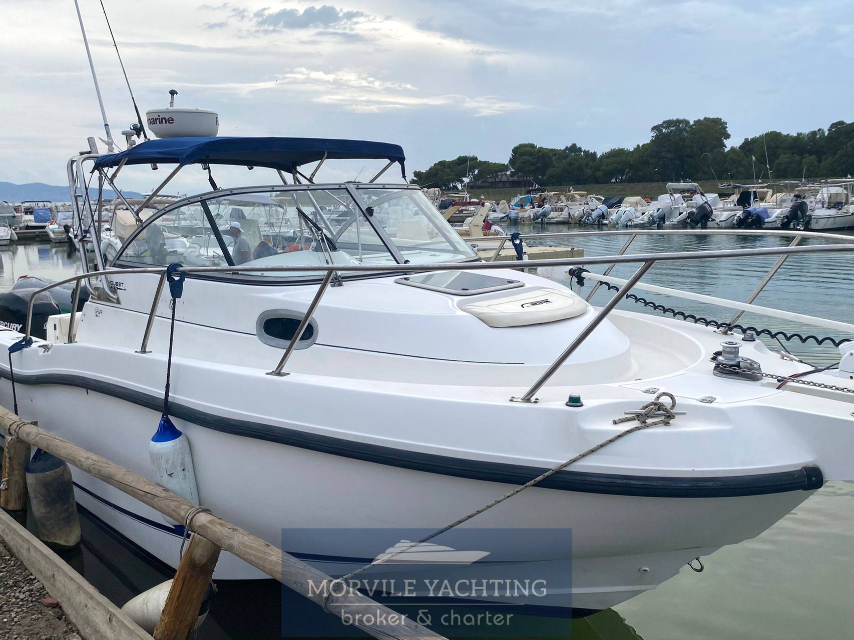 Boston whaler 255 conquest Pilotina usato