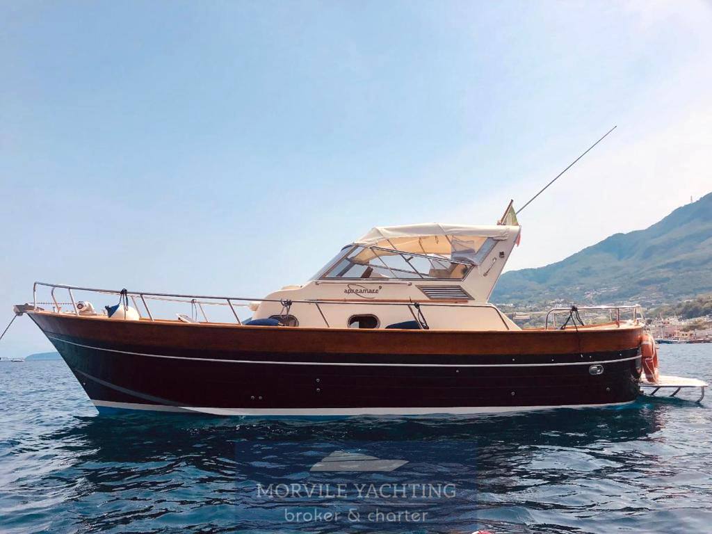 Apreamare 10 semicabinato Motor boat used for sale