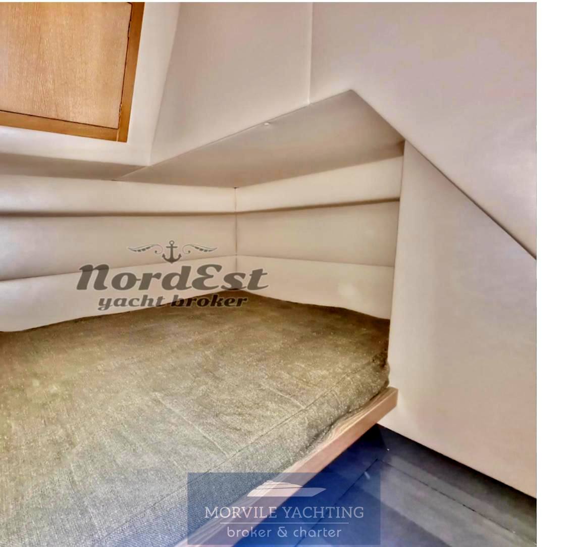 Primatist G 50 speedster 