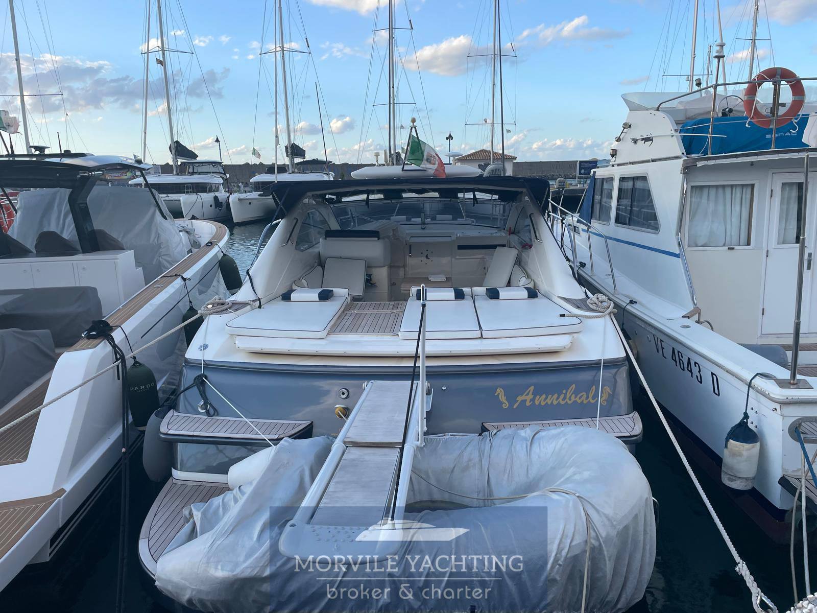 Alpa 45 patriot Barco de motor usado para venta