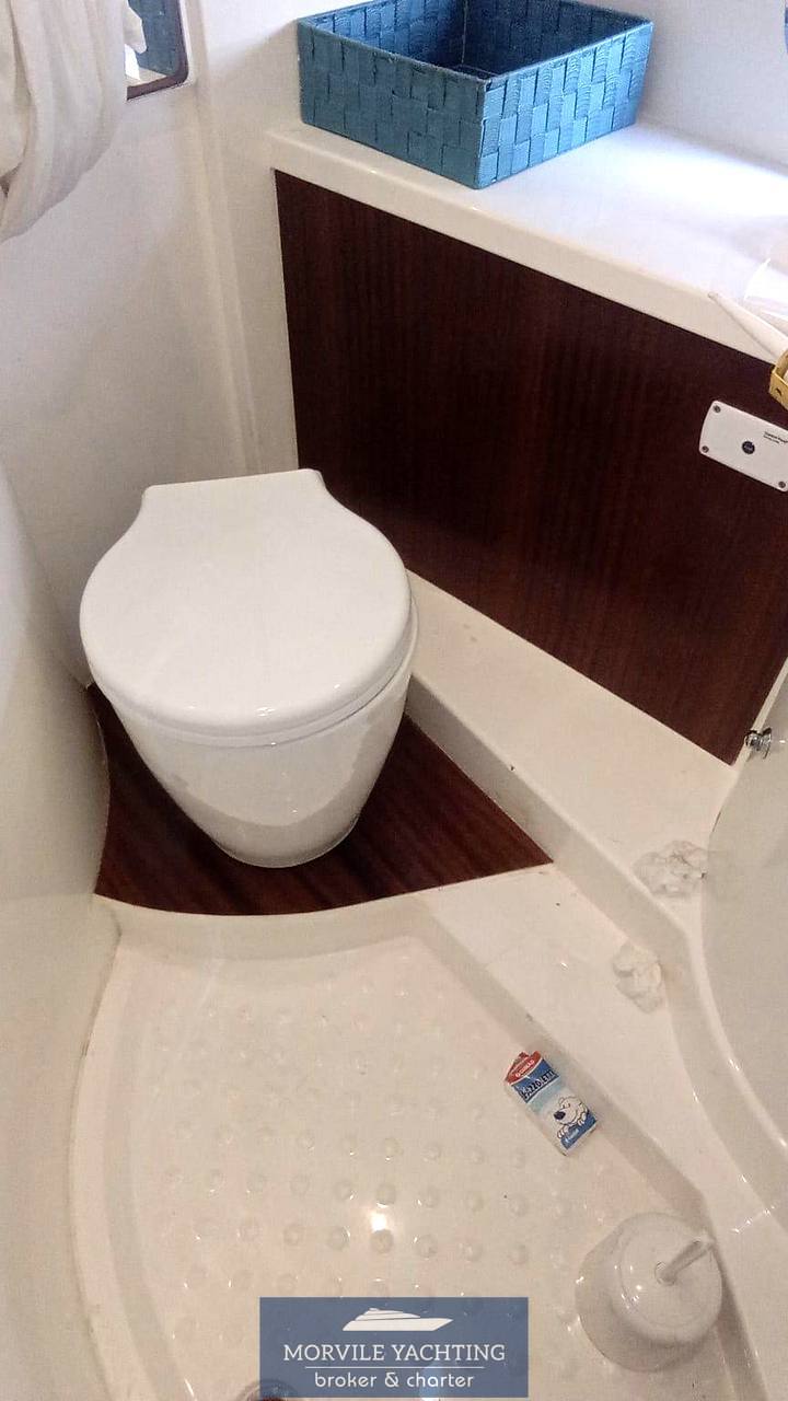 Sealine Sc 39 ht 机动船