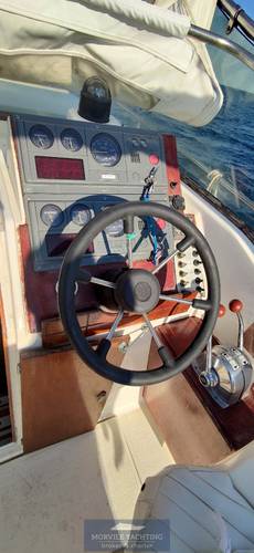 Plastimare Amelia 800 usato - foto hero 6