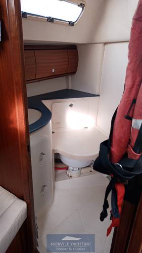 Bertram 32 carribean usato - foto hero 12
