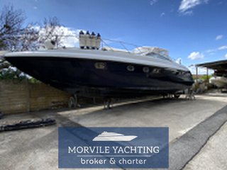 Alfamarine 43