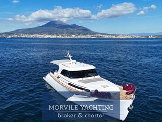 Mochi craft Dolphin 51