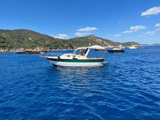 Plastimare Plastimare Amelia 800