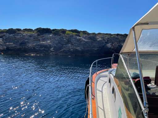 Plastimare Plastimare Amelia 800