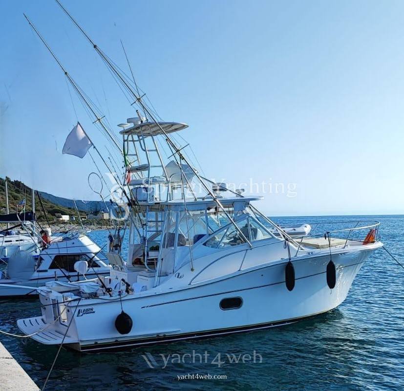 Luhrs 37 canyon open 