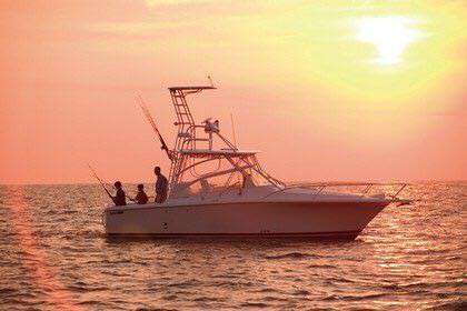 Luhrs Luhrs 28