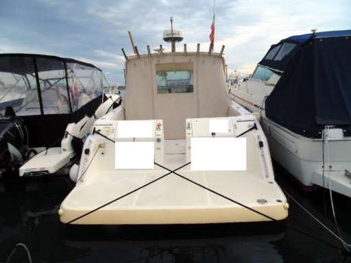 Tiara Tiara 29 sport