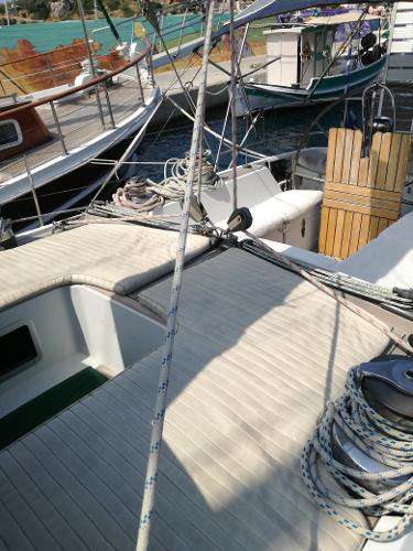 Pardo Pardo Grand soleil 52