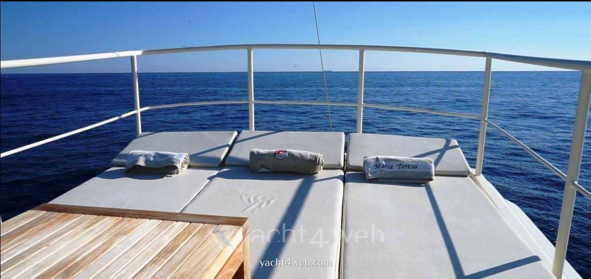 Cantieri Navali Solimano Tug yacht 78 - maria teresa usato