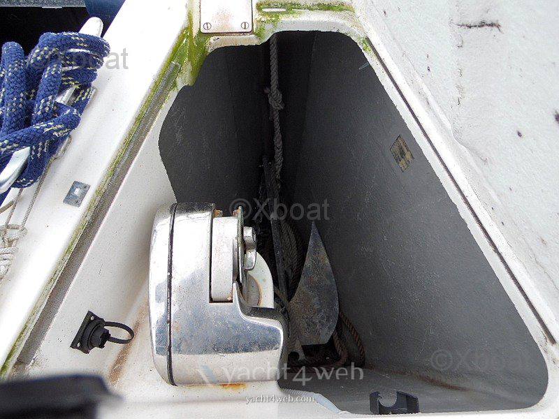 Dehler 36 sq Sail cruiser