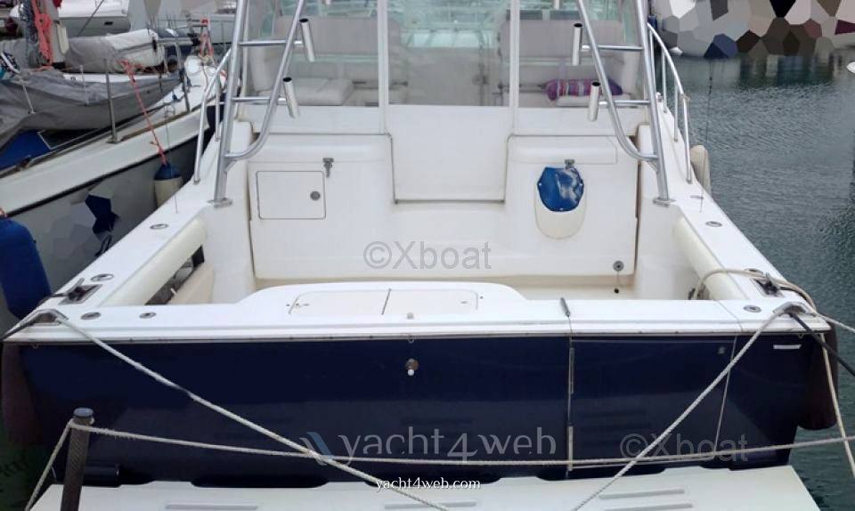 Cabo 32 express Motor boat used for sale