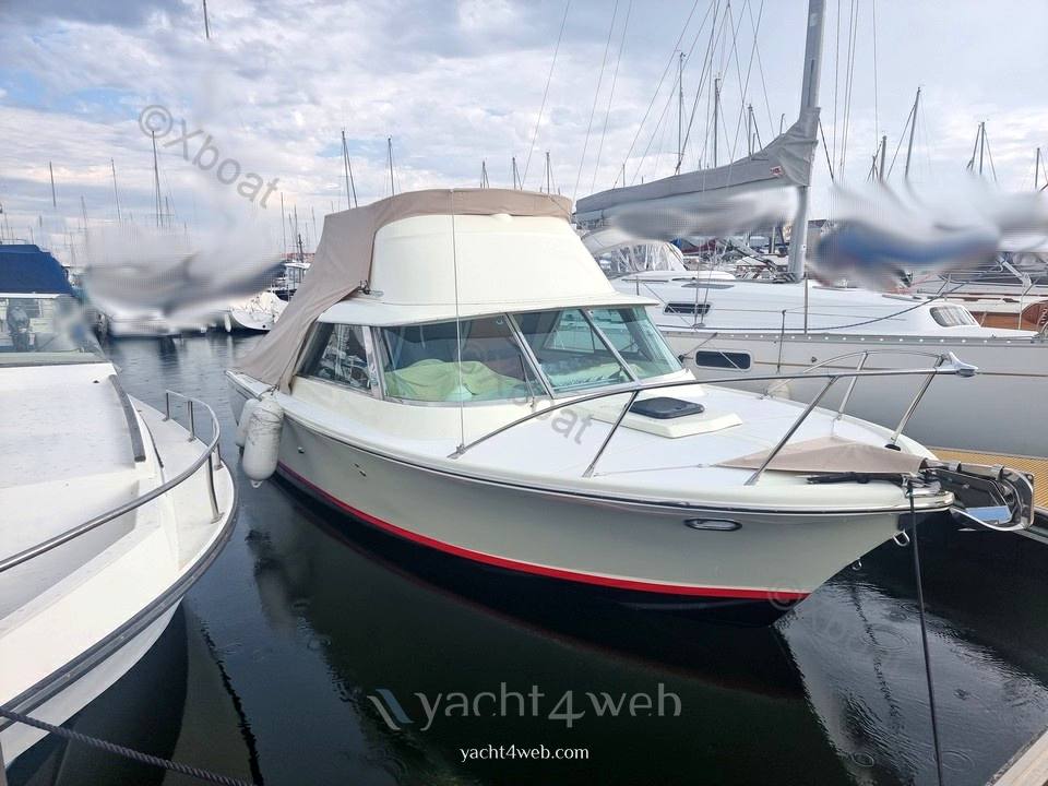 Riva bertram 25 sport fisherman 使用