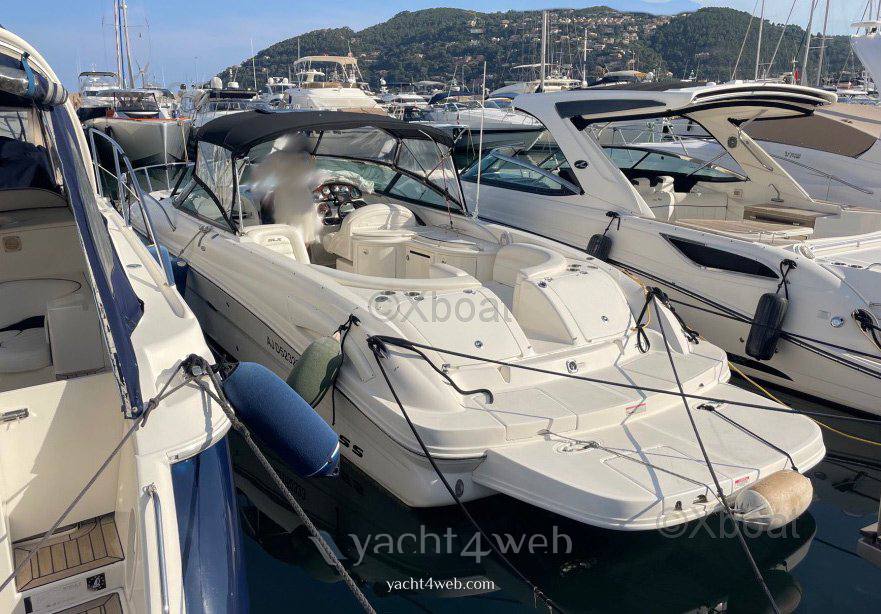 Sea ray 290 sun sport 机动船 用于销售