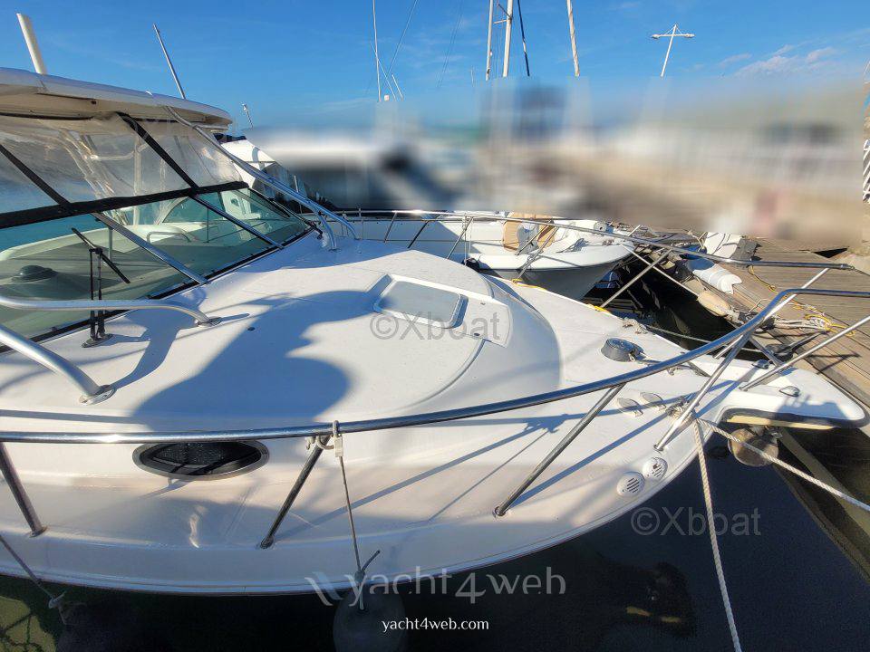 Wellcraft Coastal 290 barca a motore