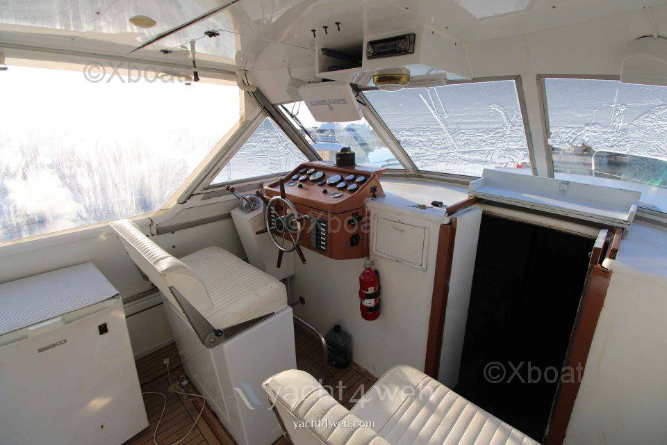 Exoverken Exotic 36 