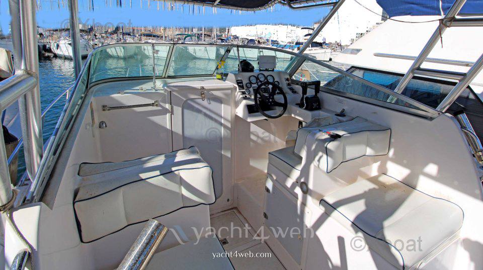 Gulf craft 31 wa Motoryacht usato