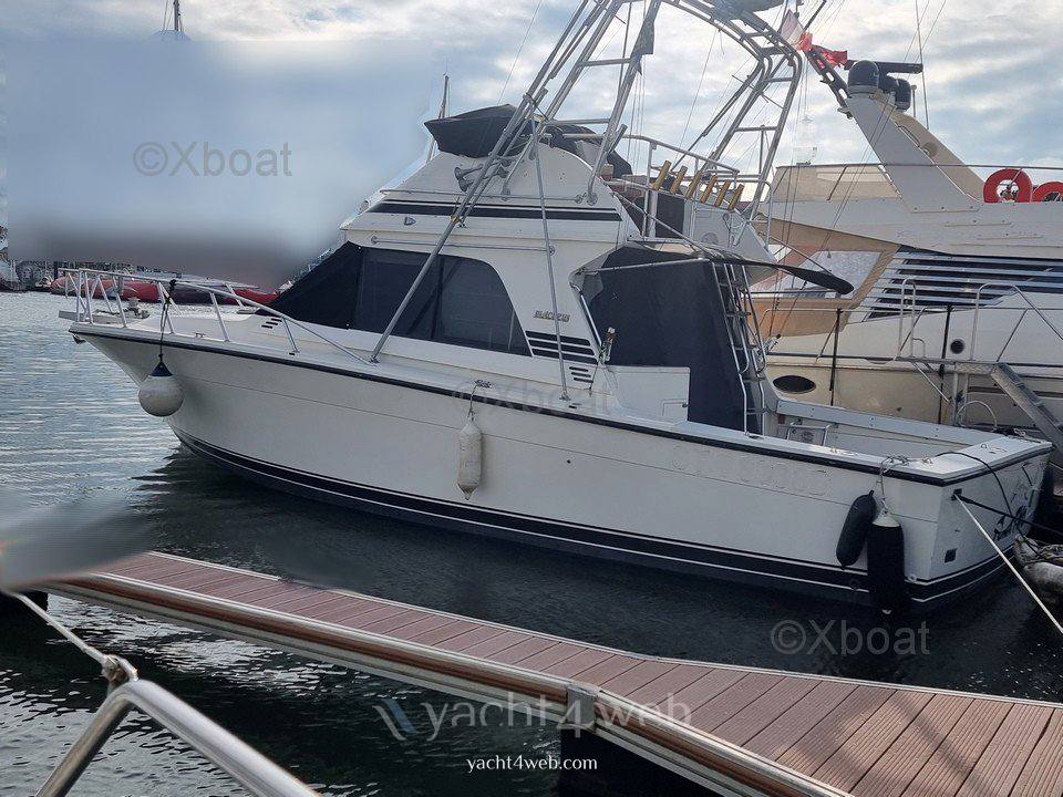 Blackfin 38 convertible Barca a motore usata in vendita