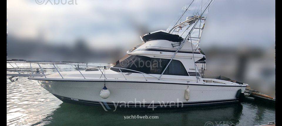Blackfin 38 convertible Motoryacht