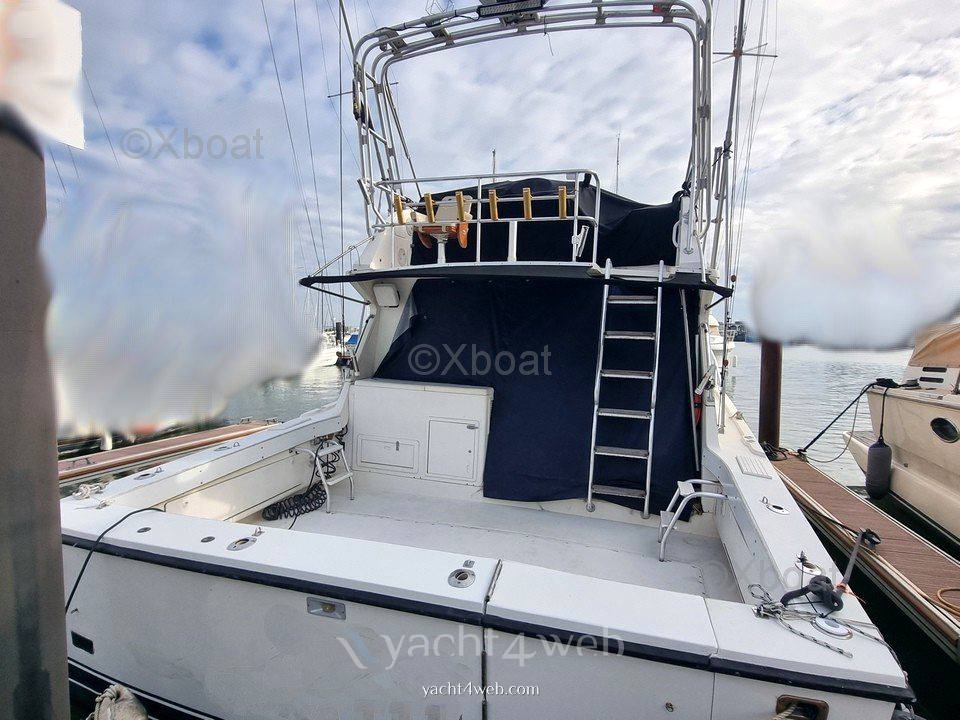 Blackfin 38 convertible barca a motore