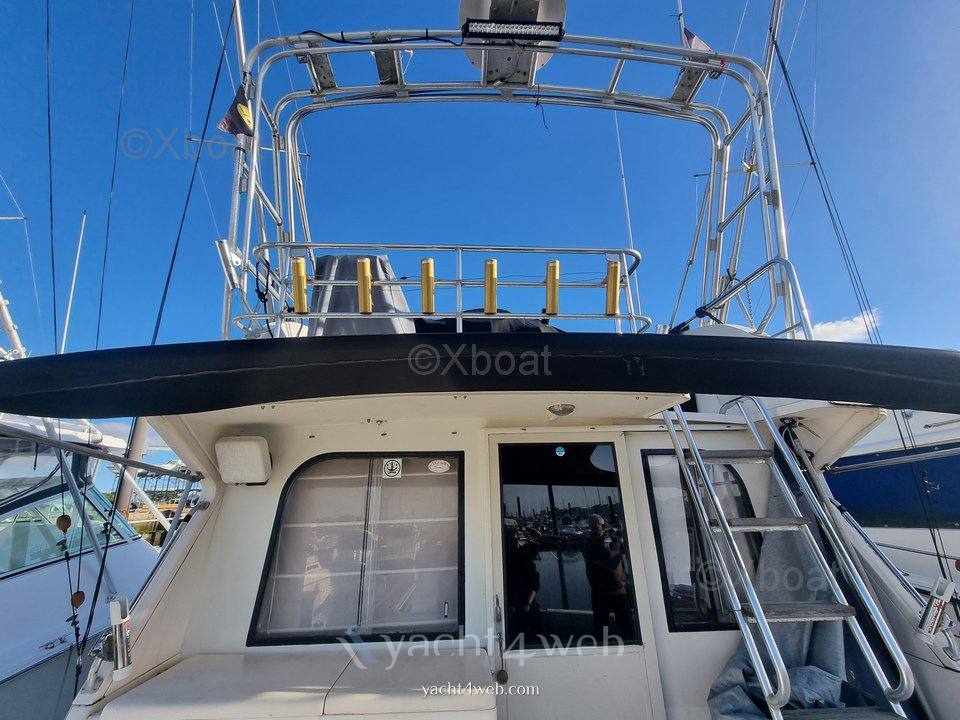 Blackfin 38 convertible fotografia