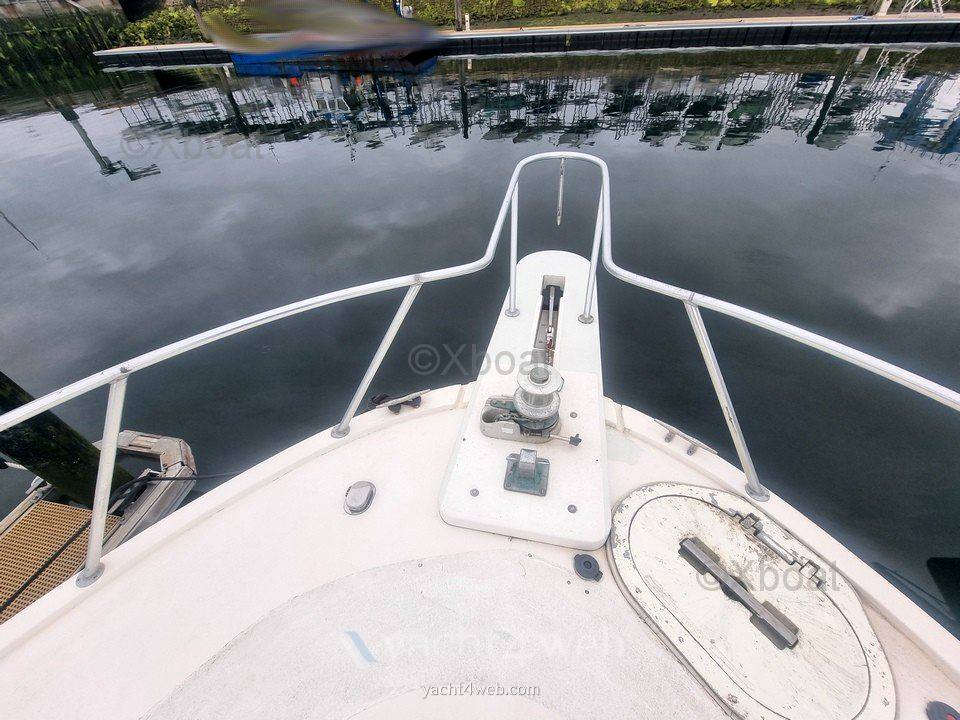 Blackfin 38 convertible usato