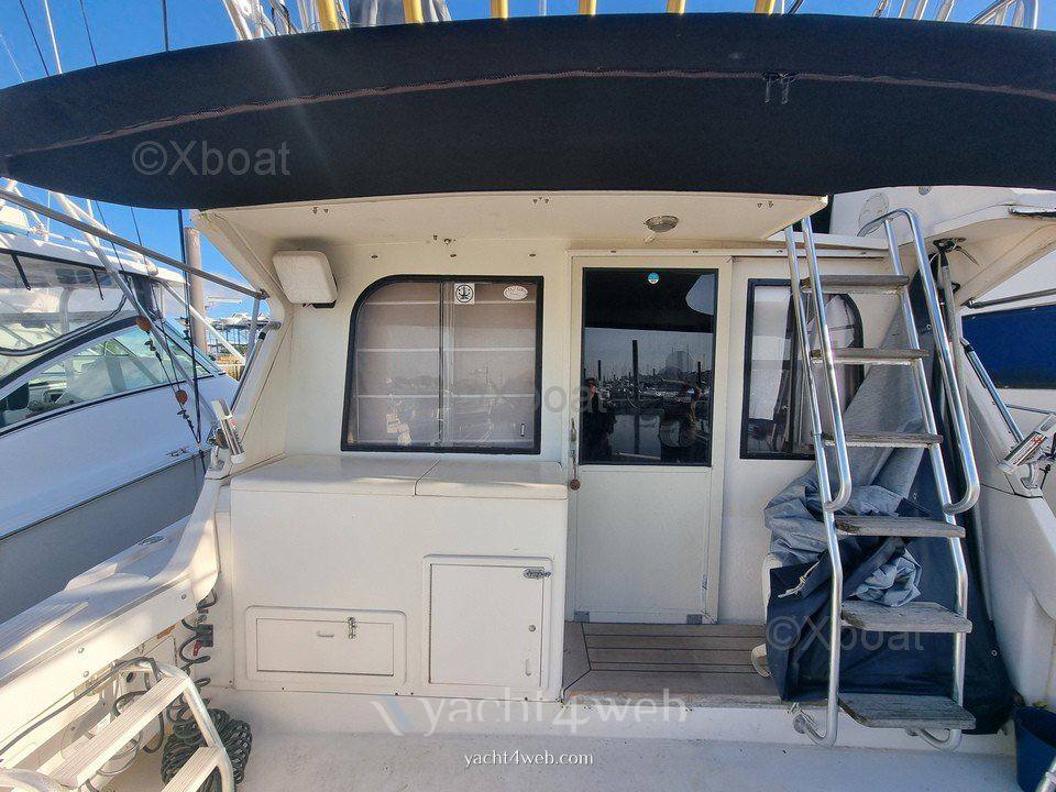 Blackfin 38 convertible 