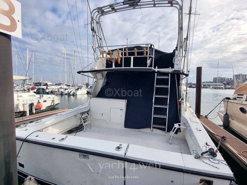 Blackfin 38 convertible Yate a motor