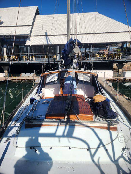 Van de stadt Phoenix cc barca a vela
