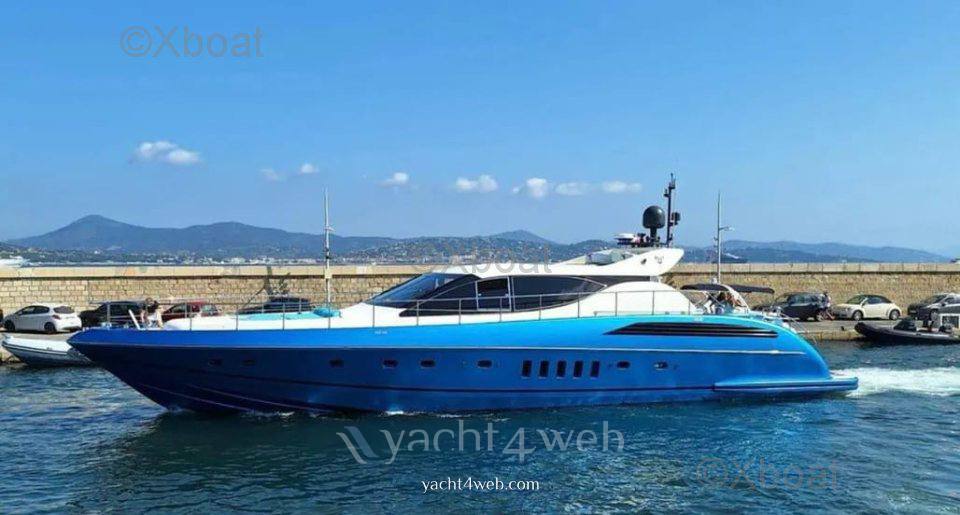 Arno leopard Leopard 24 m fotografia