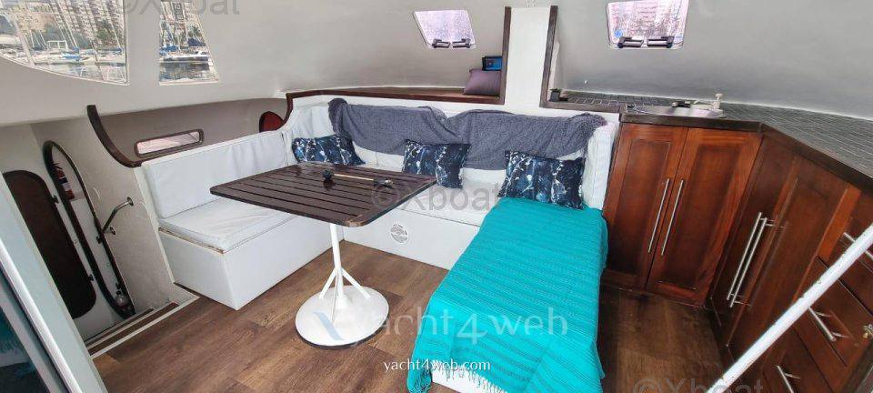 Schionning Wildcat 35 
