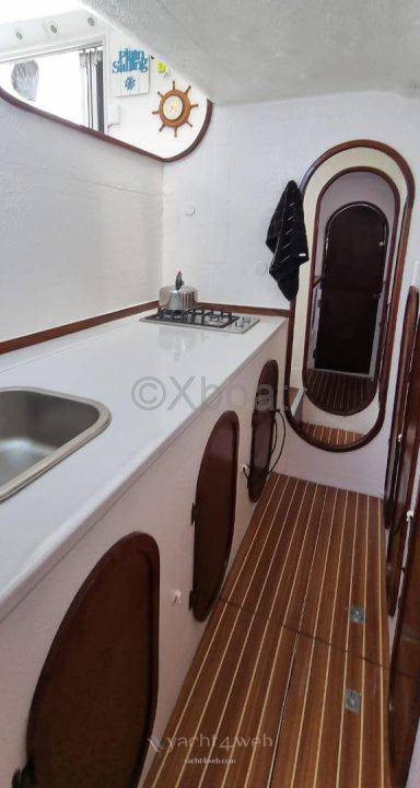 Schionning Wildcat 35 Vela