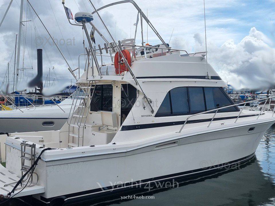 Riviera 33 flybridge Motoryacht