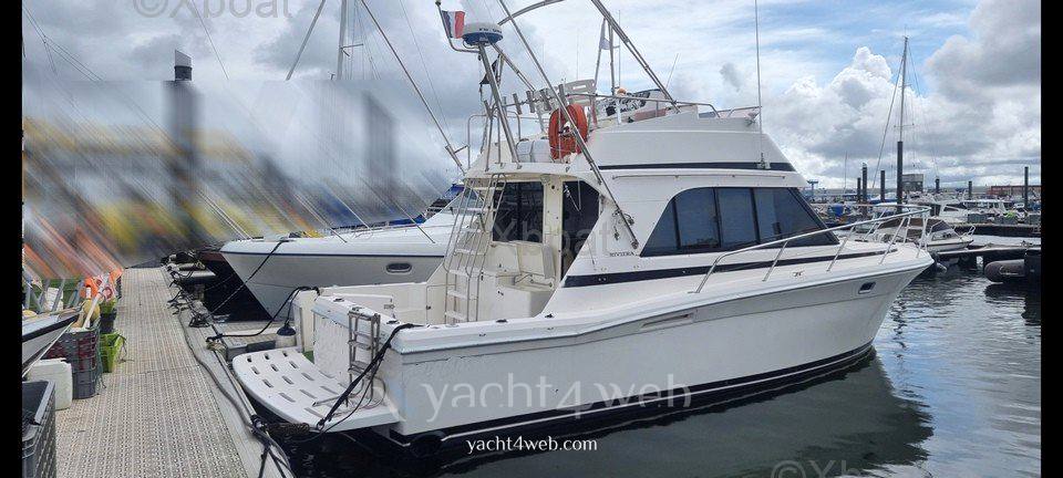 Riviera 33 flybridge Motoryacht usato