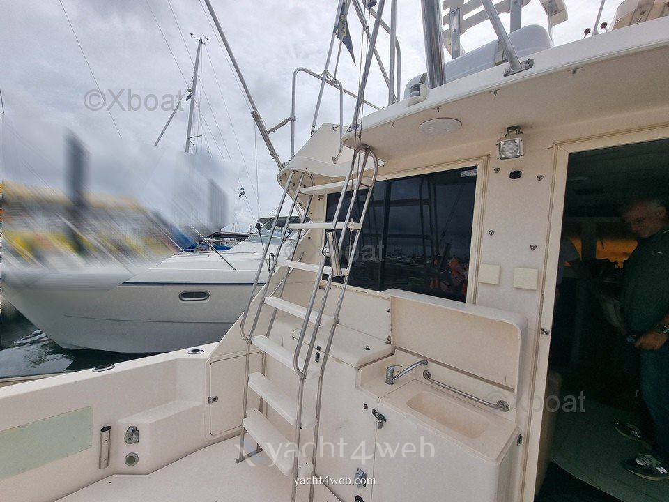 Riviera 33 flybridge Motoryacht