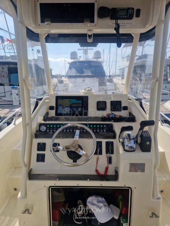 Tuccoli T210 vm Motoryacht