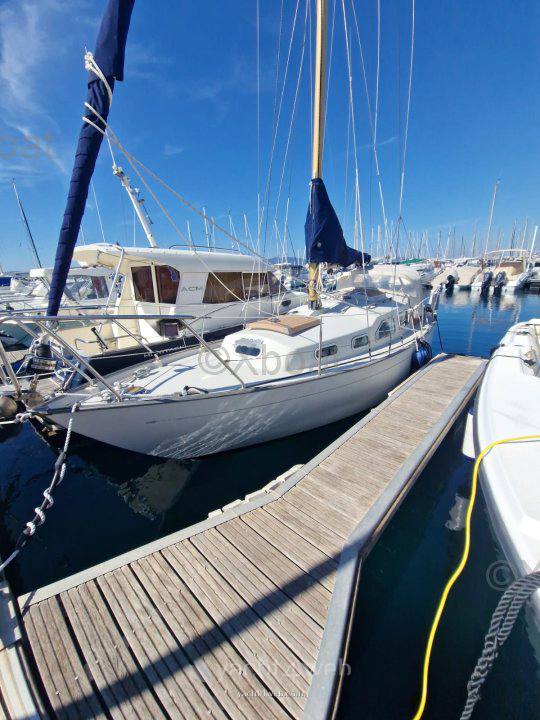 Bianca 27 القوارب الشراعية