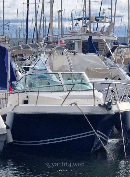 Kelt White shark 237 