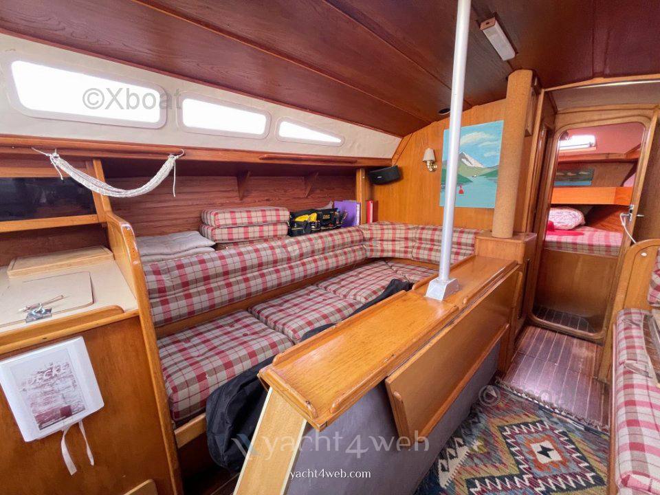 Alubat Ovni 35 occasion