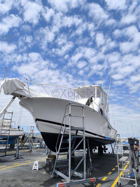 Luhrs 36 convertible occasion